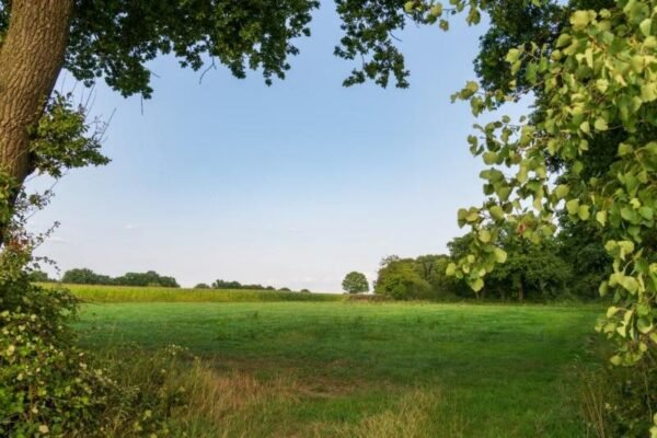 5 Marla Plot for Sale